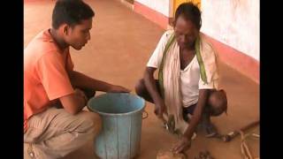 Preparation of organic pesticide Oriya Pragati Odisha [upl. by Adamsen]