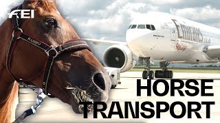 How the horses travel to the FEI World Equestrian Games™  Tryon 2018 [upl. by Sonafets484]