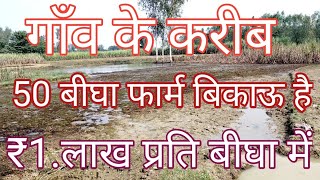 50बीघा का फार्म हाउस बिकाऊ हैं खरीदे ₹1 लाख रुपया प्रति बीघा में agricultute land for sale [upl. by Drannek]