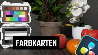 Kameras matchen mit Farbkarten  DaVinci Resolve Tutorial [upl. by Nylasoj]