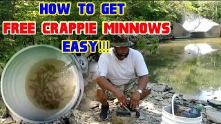 How to get FREE CRAPPIE MINNOWSEasy everything you need to know Crappie Town USA Baby [upl. by Aryahay]