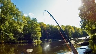 Sunrays and lightning  Fly fishing for big salmon in the famous Mörrum River [upl. by Ertnom]