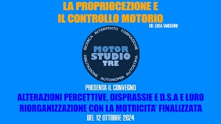 LA PROPRIOCEZIONE E IL CONTROLLO MOTORIO [upl. by Meeki]