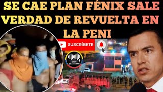 LA VERDAD DE ÚLTIMO MOTÍN EN LA PENITENCIARIA DE LITORAL SE CAE PLAN FÉNIX DE NOBOA NOTICIAS RFE TV [upl. by Neelrihs]