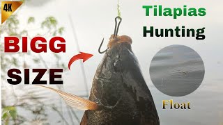 Simple Float FishingFloat Fishing tipsEarthworm Fishing Techniques [upl. by Baecher]