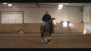 Western Pleasure Training with Jamie Novak part 1 [upl. by Tezil69]