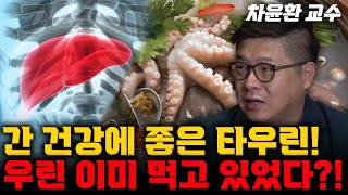 피곤무기력짜증 이게 간 때문이야우리가 타우린을 먹어야 하는 이유는요 차윤환 교수 [upl. by Erdrich]