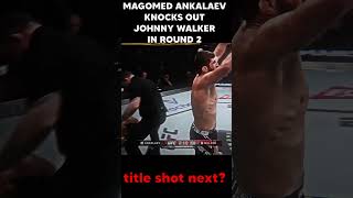 MAGOMED ANKALAEV KNOCKS OUT JOHNNY WALKER IN ROUND 2 UFCVegas84 [upl. by Welbie699]