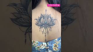 Tattoo aftercare Dermalize remove [upl. by Ardnahs]