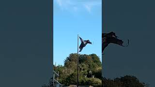 Jolly Rodger flag flying in Swanage Dorset the Knotman [upl. by Nanni]