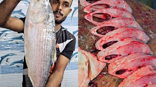 Hilsa 3kg cutting skills sagar fish hoodi Bangalore belathur Kadugodi fish shop [upl. by Marmawke807]