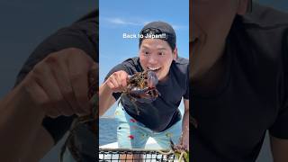 Catch a lobster with NickDiGiovanni 🦞 [upl. by Gayner728]