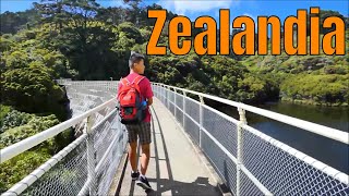 Zealandia Wellington New Zealand Long version [upl. by Baelbeer]