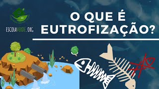 O QUE É A EUTROFIZAÇÃO 🐟 [upl. by Adlare]