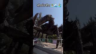 कोकणातील श्रीवर्धन बीच 🌊🏝️🏄 shrivardhan beech कोकण villege raigad maharshtra [upl. by Nnaeel273]