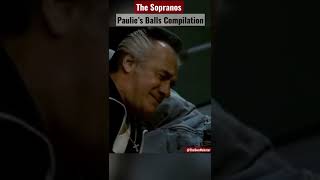 Everytime Paulie ‘Walnuts’ Gualtieri Got Hit In The Balls  The Sopranos [upl. by Elocaj95]