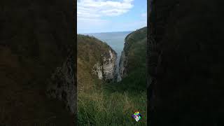 Bempton Cliffs 16082024 cliff cliffs eastyorkshire [upl. by Mairym]