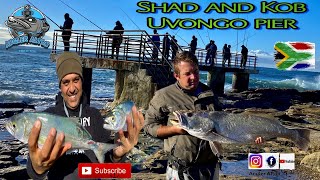 Fishing for Shad and Kob at Uvongo Pier  Fishing in KZN South Coast [upl. by Dygert]