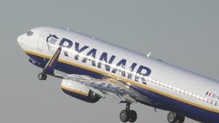 4K Ryanair 737800 LandingTakeoff Compilation EDLV [upl. by Sello]