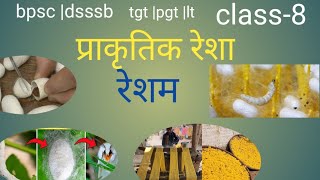 BPSC DSSSB TGT PGT LT NET GIC home science silk रेशम Textile Education9285 [upl. by Richmound]