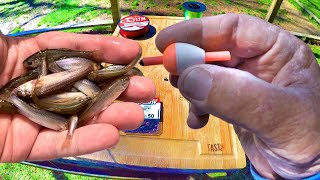 Slip Corkin For Monster Crappie How To Rig A Slip Bobber amp Minnow [upl. by Atiuqal471]