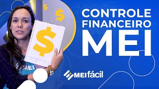 MEI controle financeiro para o microempreendedor individual  MEI Fácil [upl. by Nameloc633]