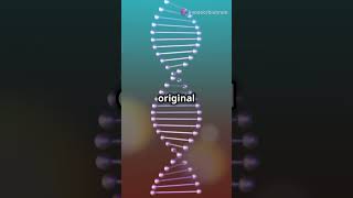 The Crucial Role of DNA Polymerase in DNA Replication [upl. by Durstin]