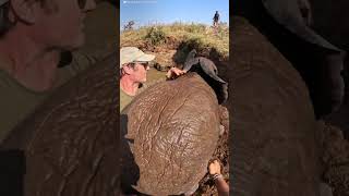 Baby Elephant And Mom Are Stuck In A Well Full Of Water  The Dodo [upl. by Ainna419]