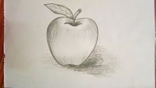 Apple sketch for kids [upl. by Liman]