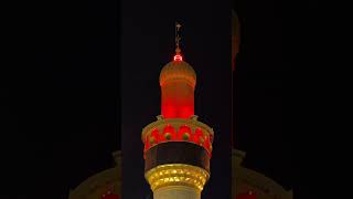 Mera imam Hussain karbala TaseerEAza azadar video imamhussain viralvideo viralreels reels [upl. by Edison846]