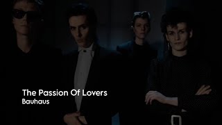 Bauhaus  The Passion Of Lovers  Legendado  Tradução [upl. by Norman]