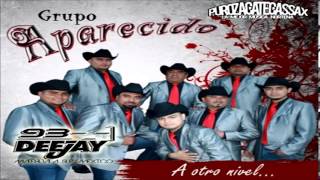 La Dama  Grupo Aparecido Carbonera SLP A Otro Nivel 2014 Album [upl. by Andi908]