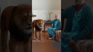 Animal Lover  Salvatore Ganacci  Horse shorts trending movie [upl. by Ynattib489]