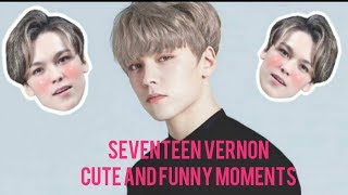 SEVENTEEN VERNON CUTE AND FUNNY MOMENTS [upl. by Hindu]