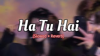 Haan Tu Hai  Slowed amp Reverb  KK [upl. by Nylsor]