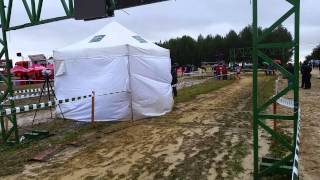 Paso por meta Cross de Itálica 2015 femenino [upl. by Nylisoj]