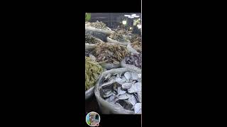 Rosalia Catud Vlog is liveMapagpalang Gabi sa lahatDried fish yummy [upl. by Hanimay]