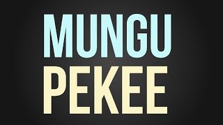 Nyashinski  Mungu Pekee Official Lyric Video [upl. by Netsyrk]