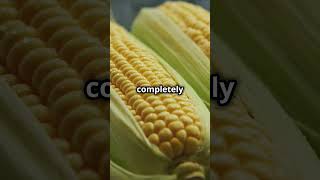 The Nutritional Advantages of Corn shorts [upl. by Aneram268]