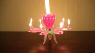 Lotus shaped birthday candle [upl. by Drazze524]