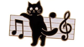 Maestro Black Cat on the piano  Valzer del gatto nero [upl. by Sudnor]