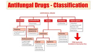 57 Antifungal Drug  Classification of Antifungal Drug  AUDIO Classification of Drug  Antifungal [upl. by Oisangi118]