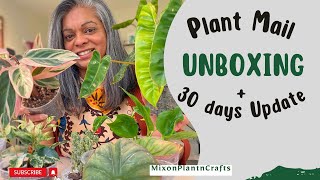 Unboxing winter Plant Mail  PLANT UPDATE [upl. by Enillebyam994]