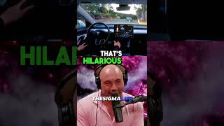 Elon Musk on Preventing Sleeping Tesla Drivers  JRE joerogan jre tesla elonmusk [upl. by Finnegan]