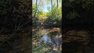 Keremeos Creek britishcolumbia nature canada [upl. by Kcin]