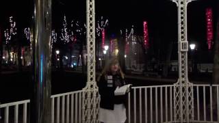 Ljubljana Park New Years Eve Woman Street Preacher [upl. by Goodyear406]