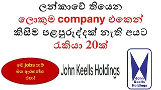 Latest Job Vacancies at John Keells Holdings 2024  How to Apply for HighPaying Jobs in Sri Lanka [upl. by Birkett]