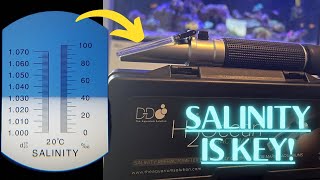 What Is Salinity amp How to Keep it PERFECT in Your Reef Tank [upl. by Nomolos993]