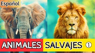 ¡Conoce a los Animales Salvajes Imperdible para Ver con tus Niños Parte 1 [upl. by Magdau436]