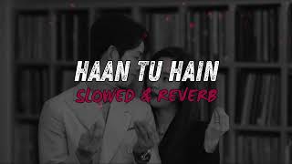 Haan Tu Hain Slowed  Reverb  Pritam KK  Jannat [upl. by Adyam]